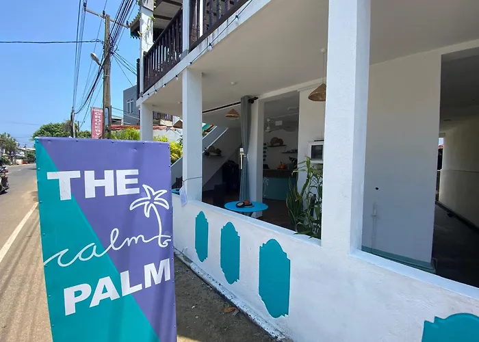 The Calm Palm