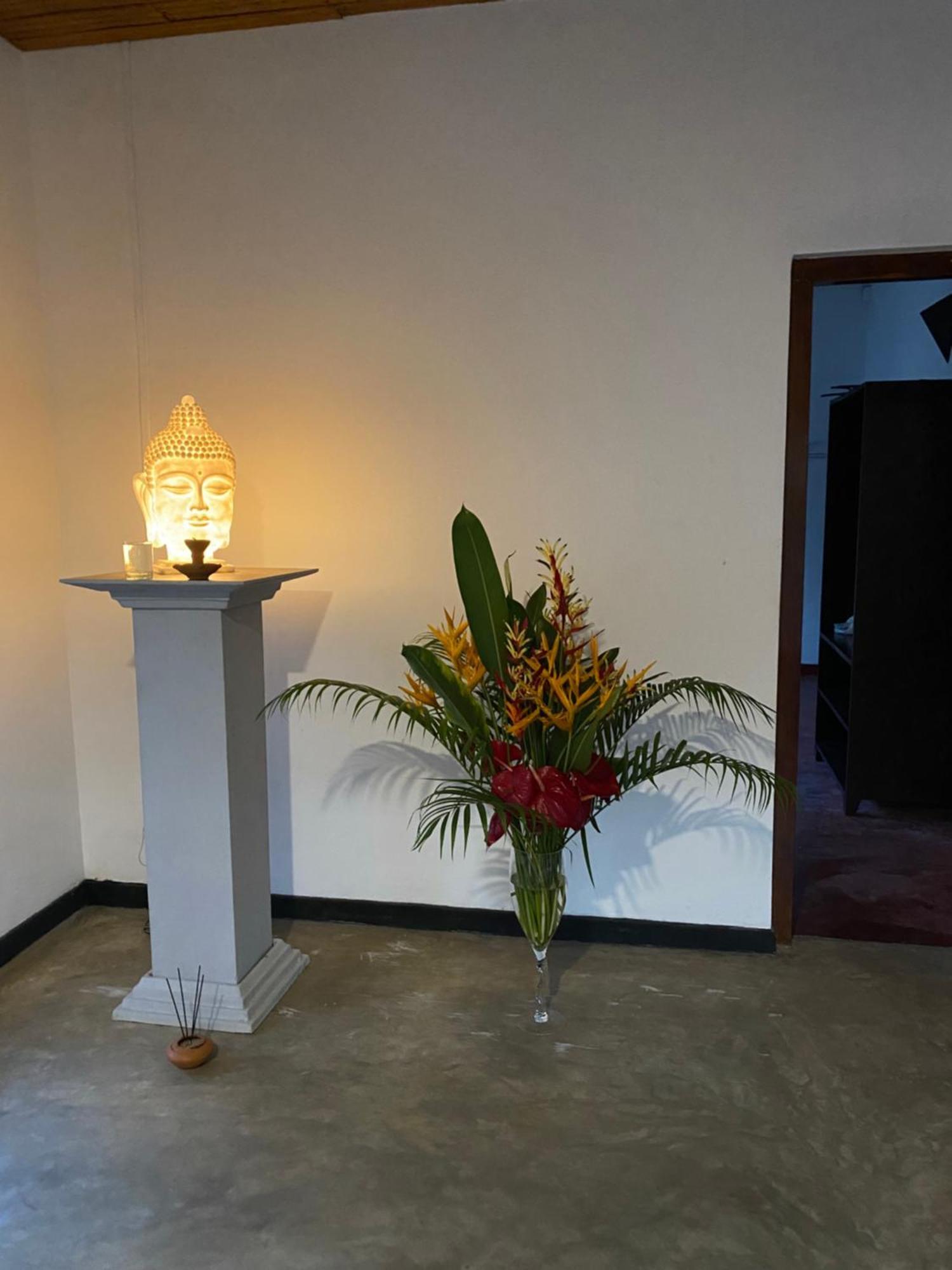 The Calm Palm *