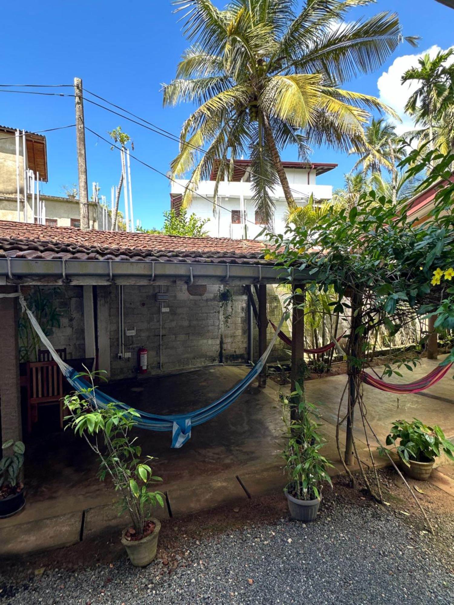 Hotel The Calm Palm